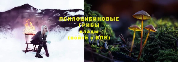 Альфа ПВП Корсаков