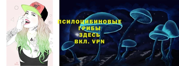 экстази Краснослободск