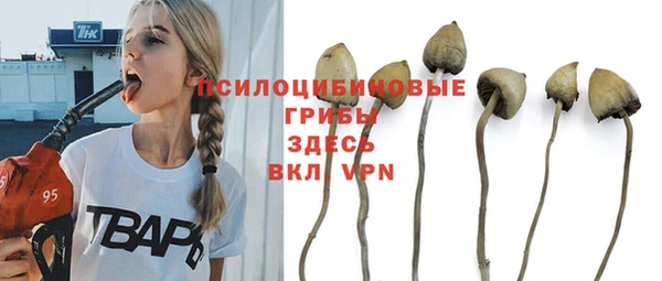 экстази Краснослободск