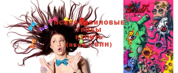 экстази Краснослободск